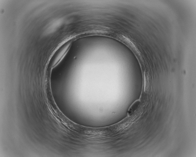 X0000087400435200705111829