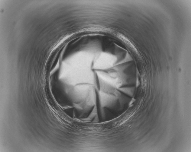 X0000087400436200705111829