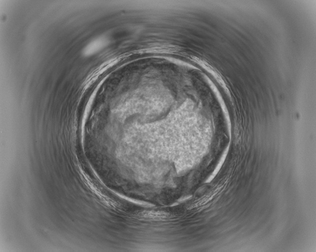 X0000087400437200705111829