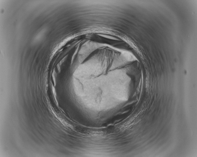 X0000087400438200705111829