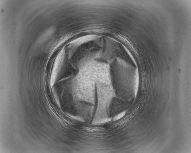 X0000087400439200705111830