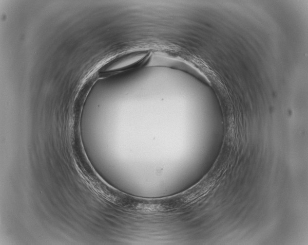 X0000087400440200705111830