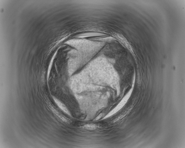 X0000087400441200705111830