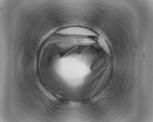 X0000087400442200705111830