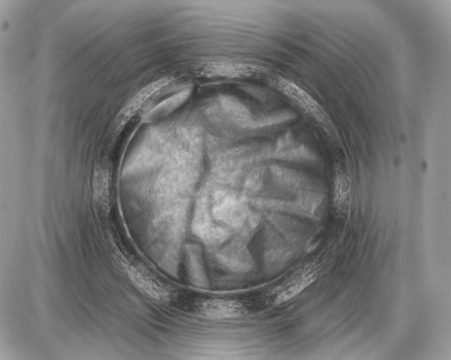 X0000087400444200705111830