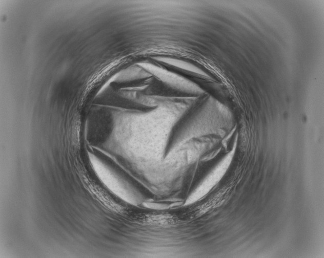 X0000087400446200705111830