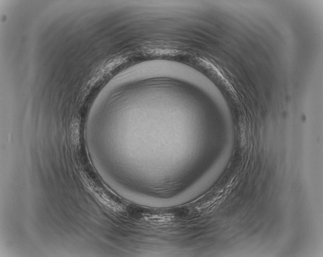 X0000087400447200705111830