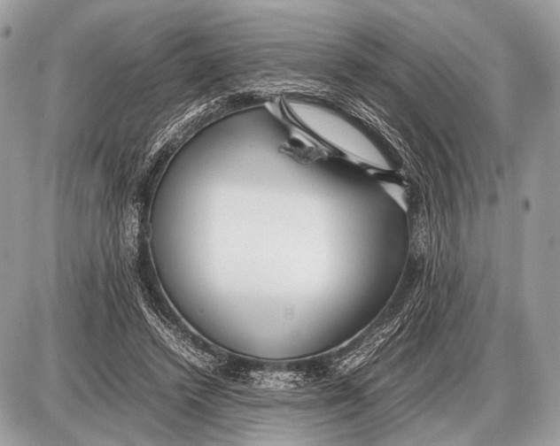 X0000087400448200705111830