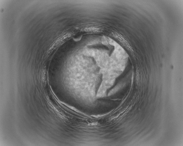 X0000087400449200705111830