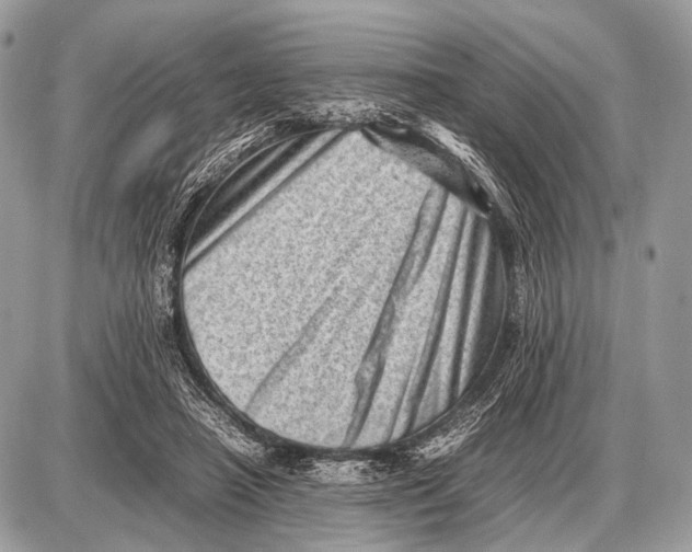 X0000087400450200705111830