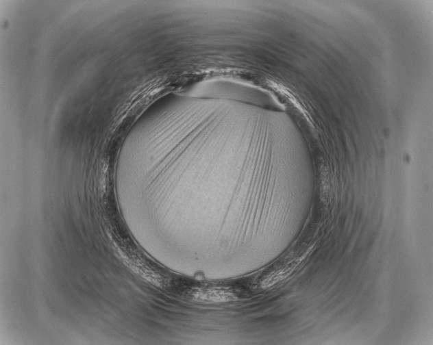 X0000087400451200705111830