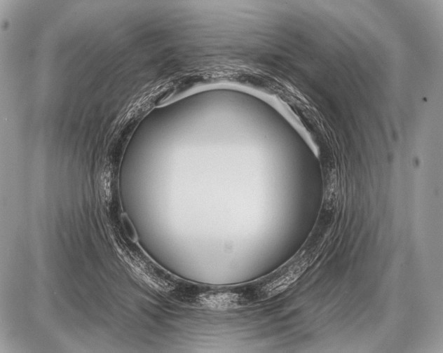 X0000087400452200705111830