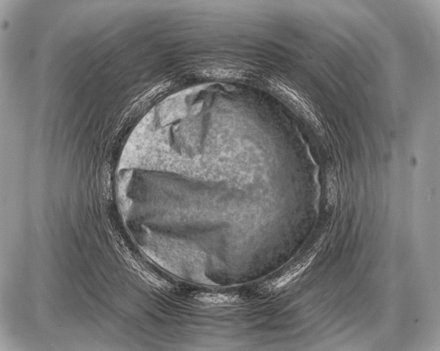 X0000087400453200705111830