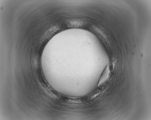 X0000087400455200705111830