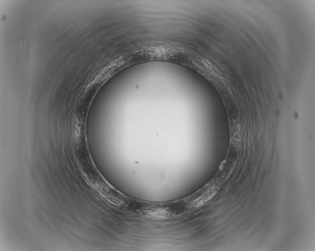 X0000087400456200705111830