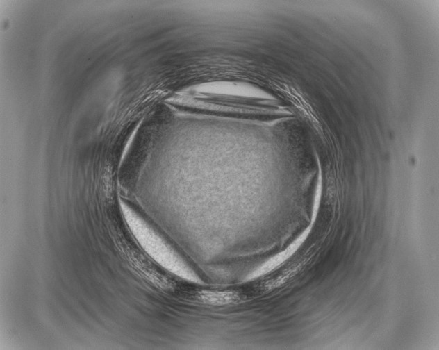 X0000087400457200705111830