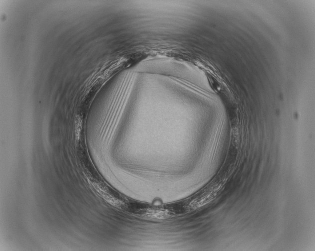 X0000087400458200705111830