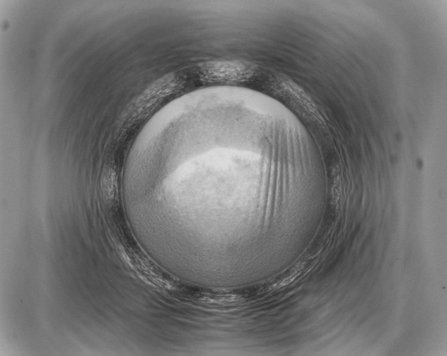 X0000087400459200705111830