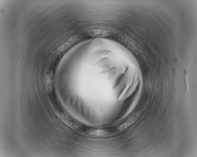 X0000087400460200705111830