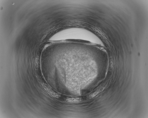 X0000087400461200705111830