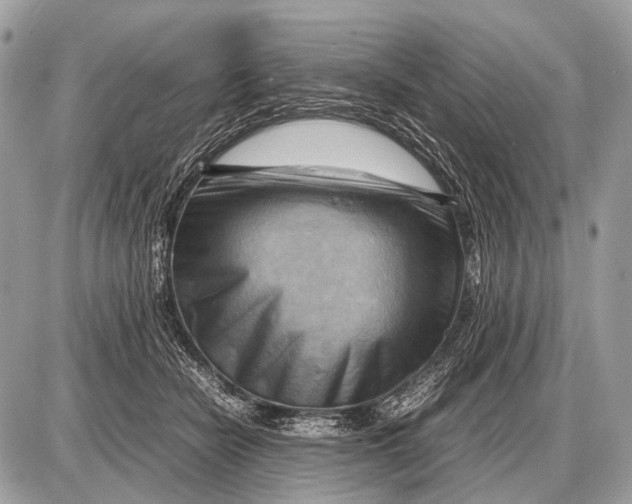 X0000087400462200705111830