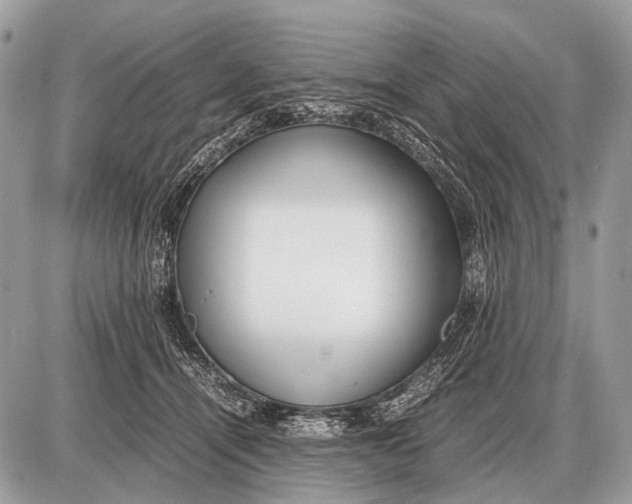 X0000087400464200705111830