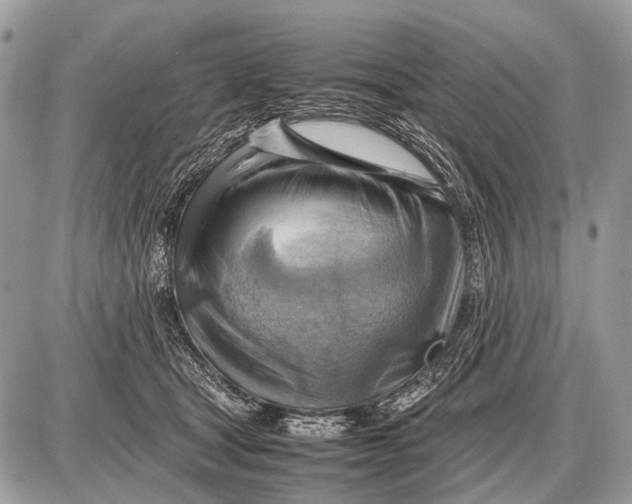 X0000087400465200705111830