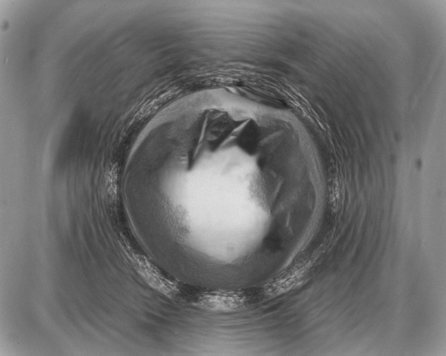 X0000087400466200705111830