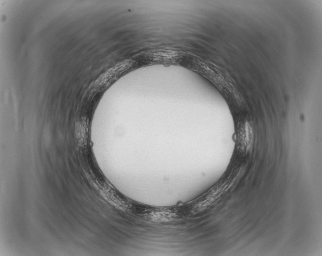 X0000087400468200705111830