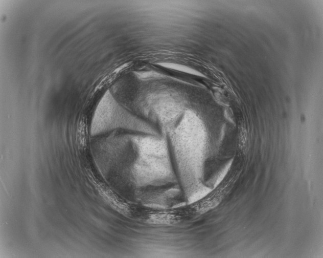 X0000087400470200705111830