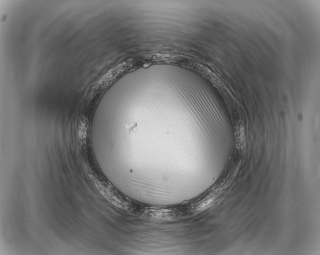 X0000087400472200705111830