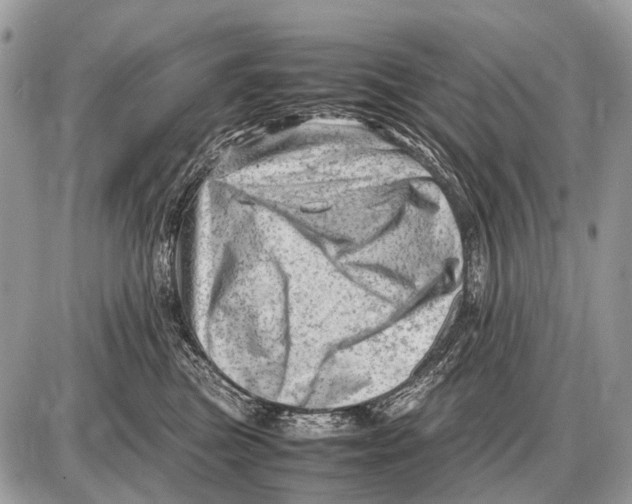 X0000087400473200705111830