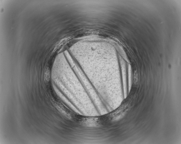 X0000087400474200705111830