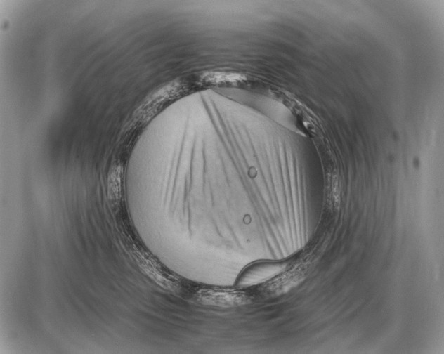 X0000087400475200705111830