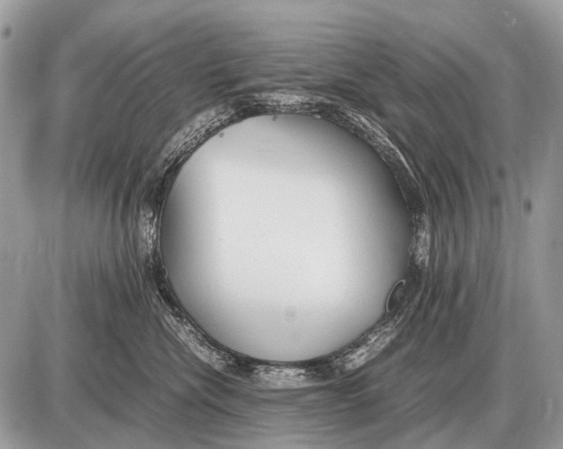 X0000087400476200705111830