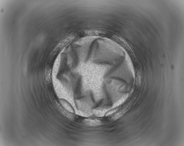 X0000087400477200705111830