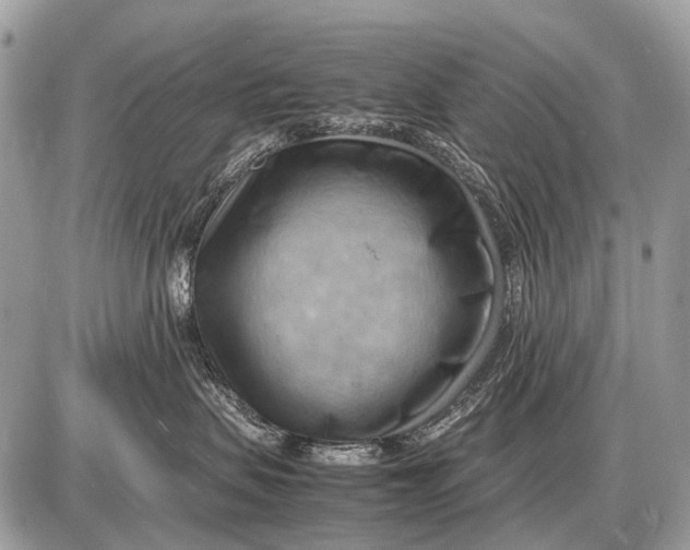 X0000087400479200705111830