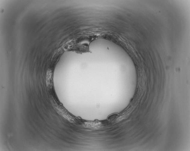 X0000087400480200705111830