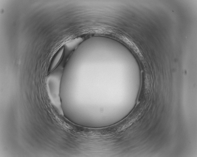 X0000087400481200705111829