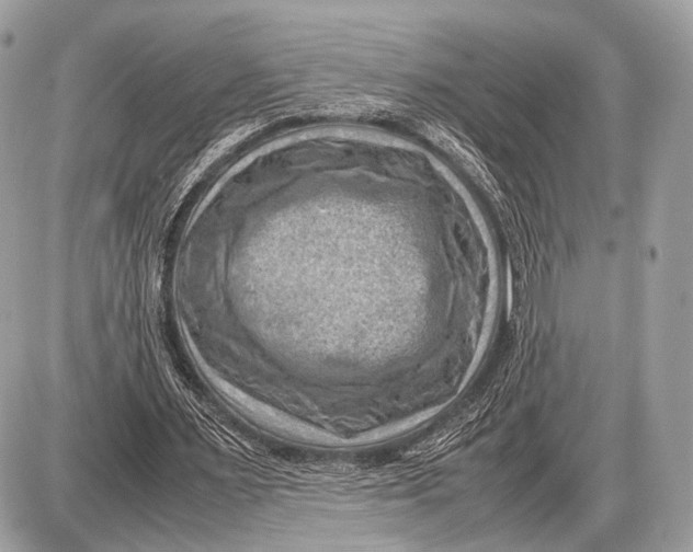 X0000087400483200705111829