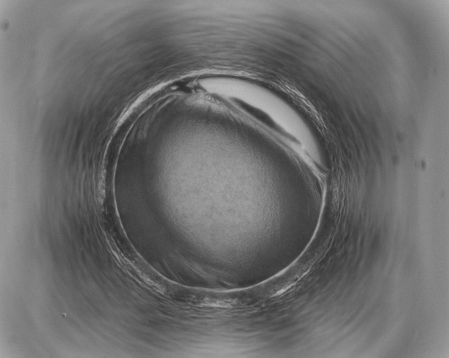 X0000087400484200705111829