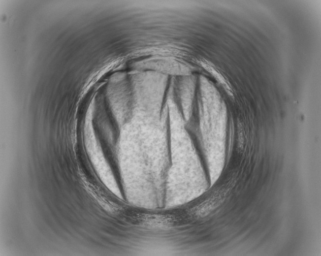 X0000087400486200705111829