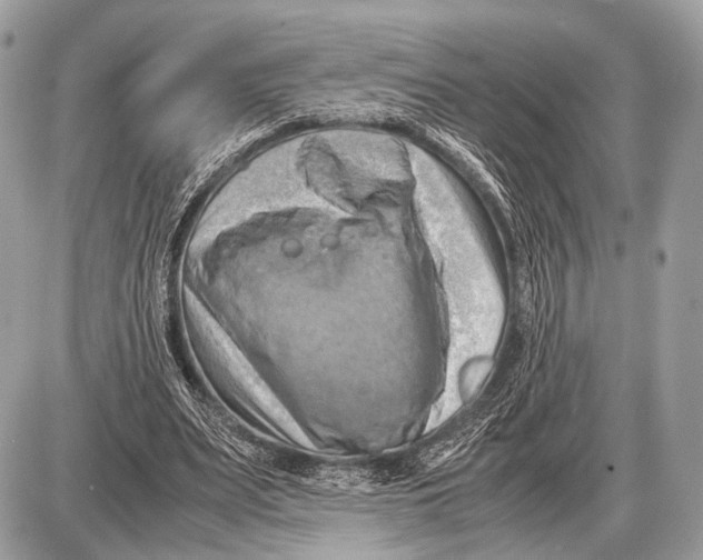 X0000087400487200705111829