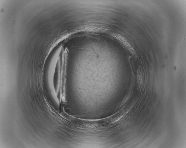 X0000087400488200705111829