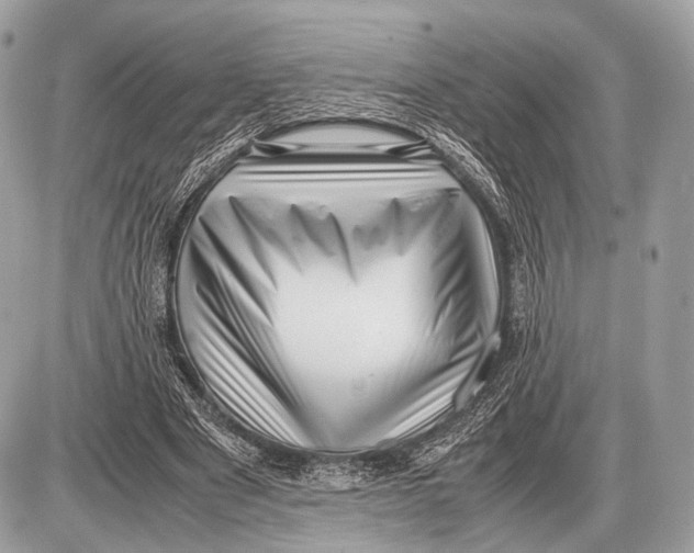 X0000087400489200705111829