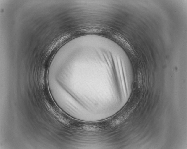 X0000087400490200705111829