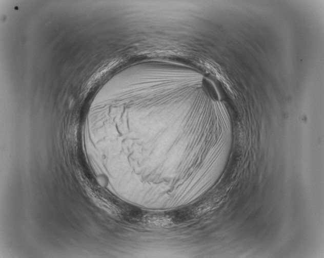 X0000087400491200705111829