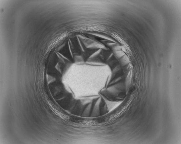 X0000087400493200705111829