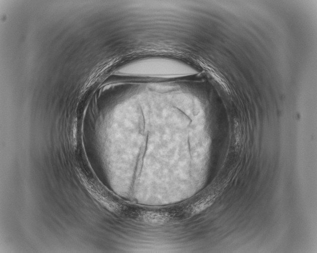 X0000087400494200705111829