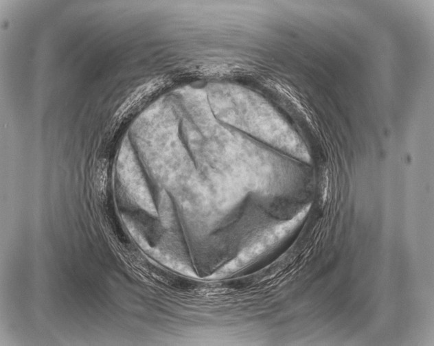 X0000087400495200705111829